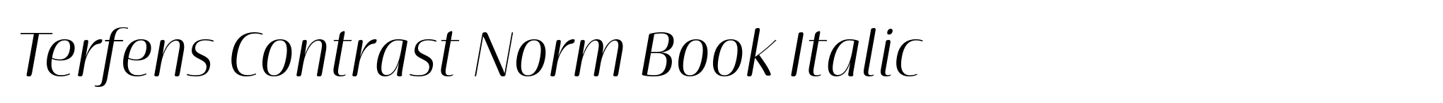 Terfens Contrast Norm Book Italic image